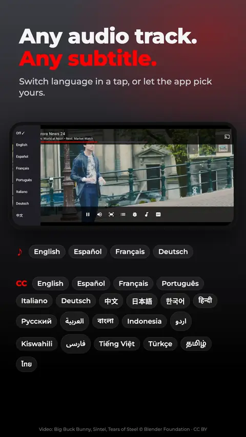 Any audio track. Any subtitle.