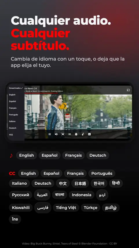 Cualquier audio. Cualquier subtítulo.