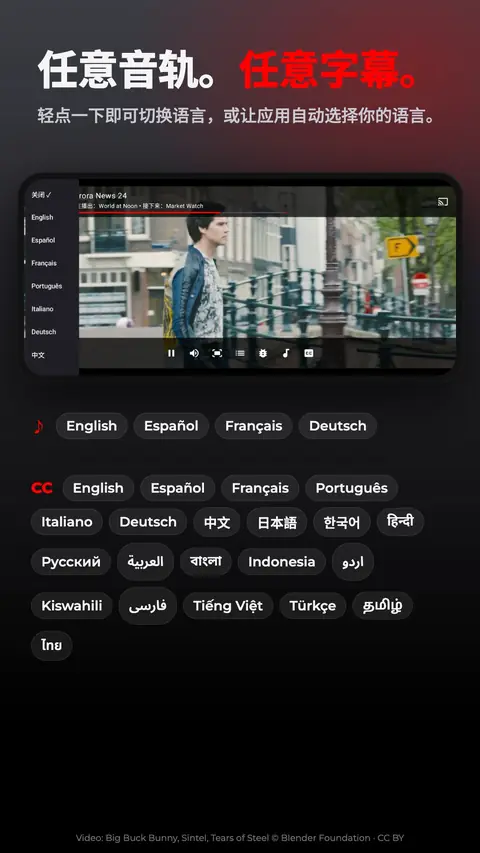 任意音轨。任意字幕。